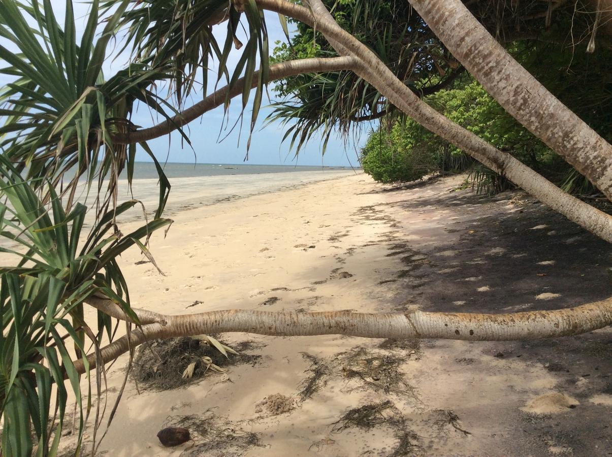 Peponi Beach Resort Pangani Exterior foto
