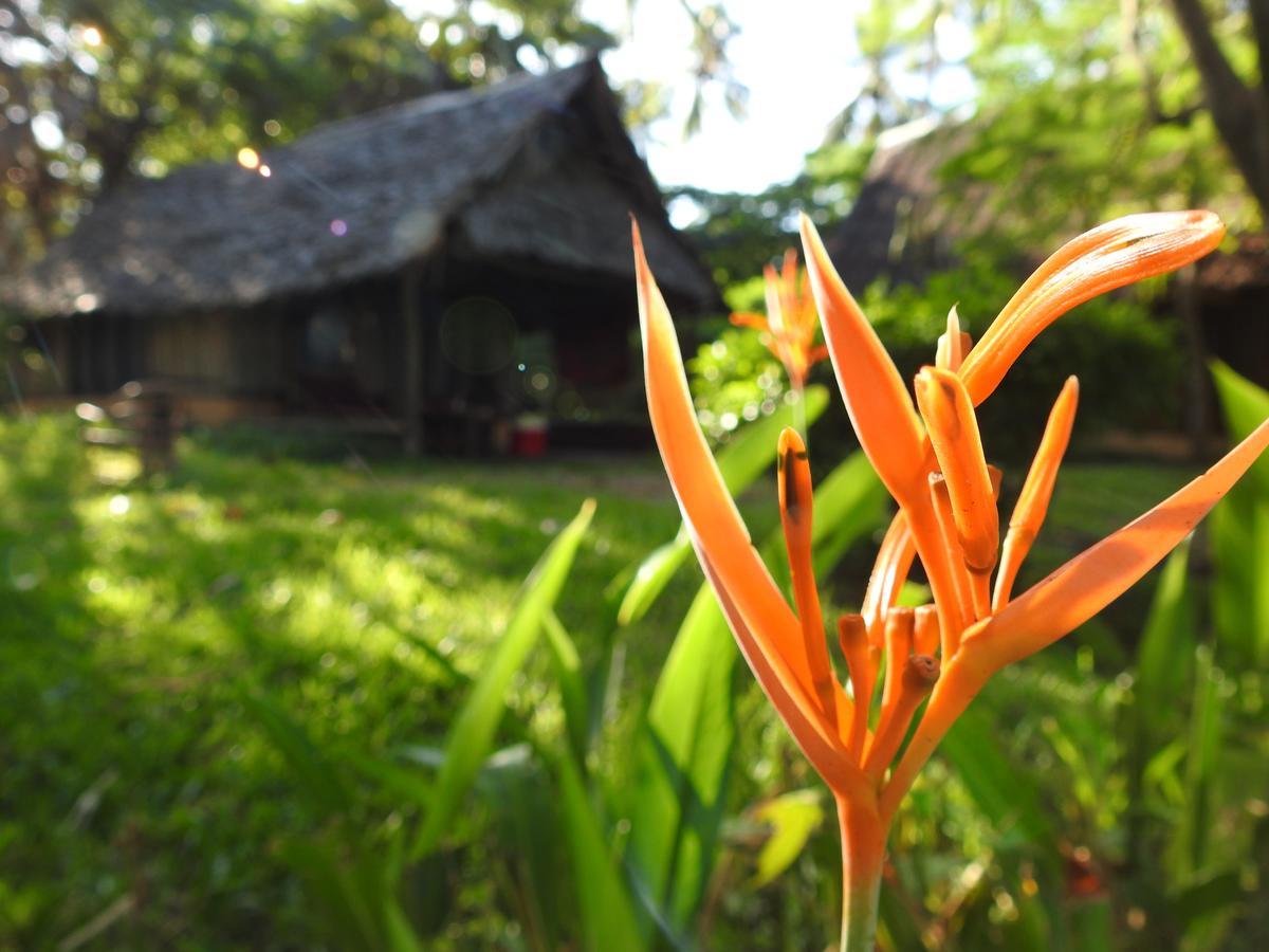 Peponi Beach Resort Pangani Exterior foto